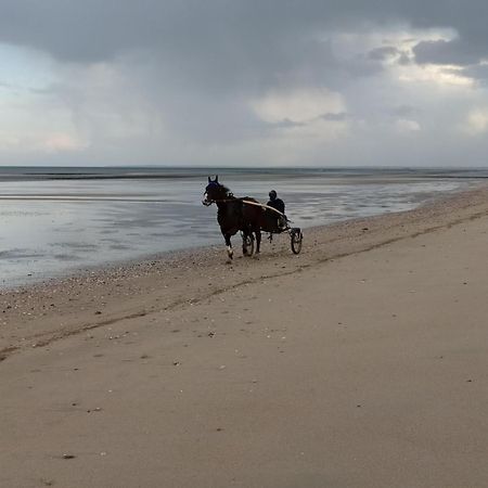 Gites "Plage" Ou "Pieds Dans L'Eau" En Front De Mer A Asnelles , 3Km D'Arromanches, 10Km De Bayeux Exteriér fotografie
