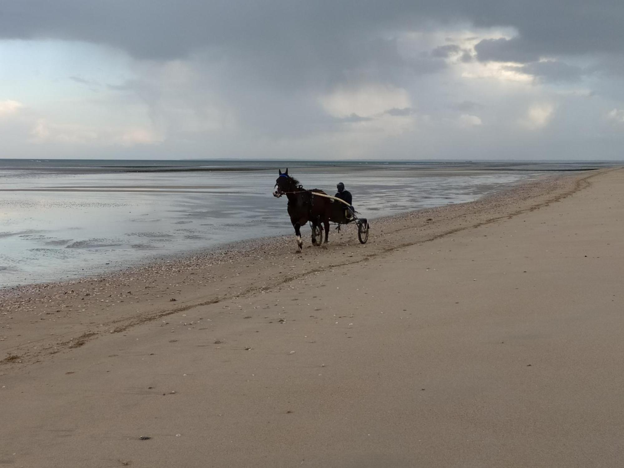 Gites "Plage" Ou "Pieds Dans L'Eau" En Front De Mer A Asnelles , 3Km D'Arromanches, 10Km De Bayeux Exteriér fotografie
